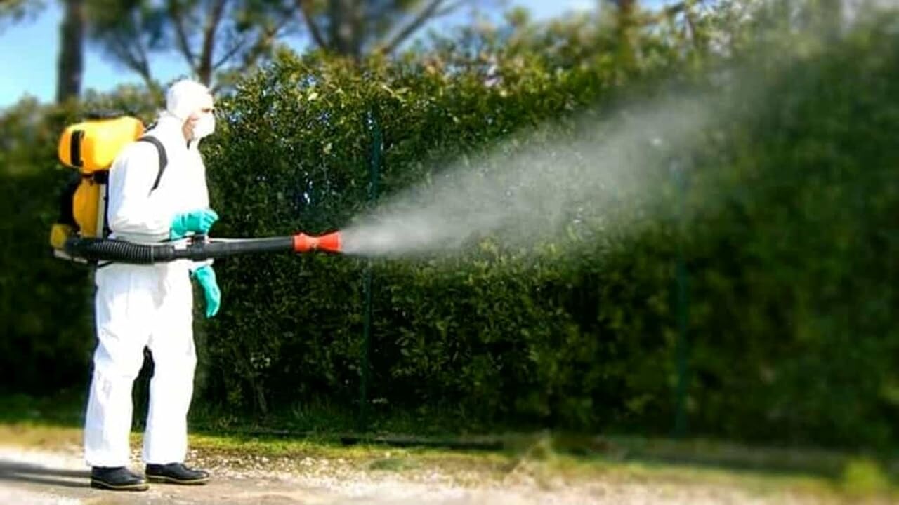Ossian Permegreen 5.5 Insetticida Concentrato Inodore 1 LT – Permetrina, Tetrametrina e PBO – Azione Abbattente e Residuale – Contro Zanzare, Mosche, Scarafaggi, Blatte, Zecche – Interno/Esterno
