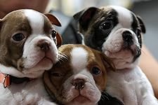 Review Image by Charles Charles