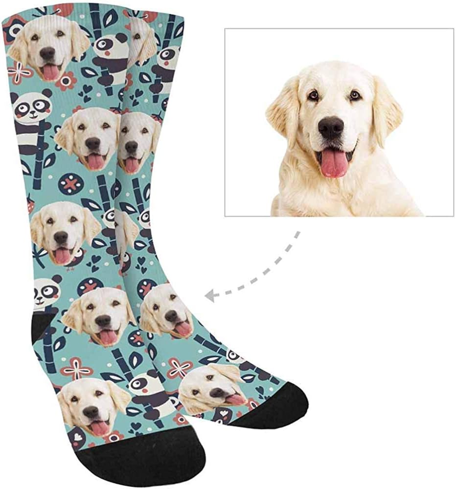 How To Put Socks On A Dog