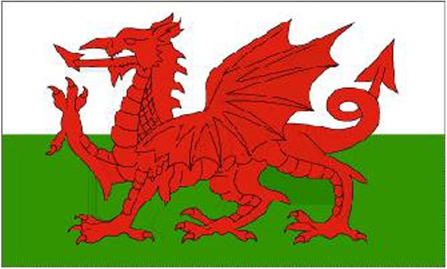 LARGE WELSH DRAGON FLAG 8FT X 5FT