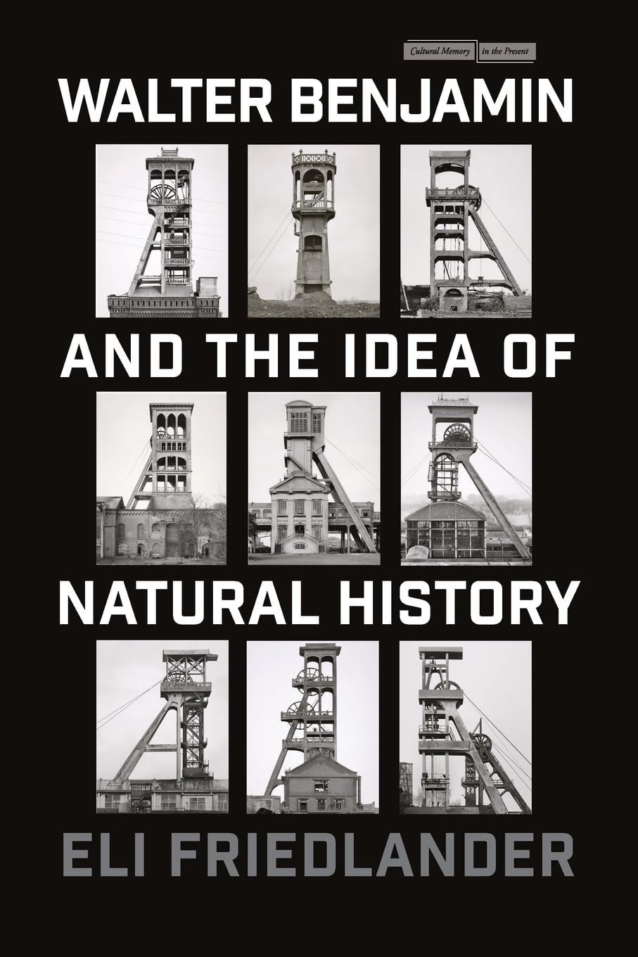 Walter Benjamin and the Idea of Natural History by Eli Friedlander