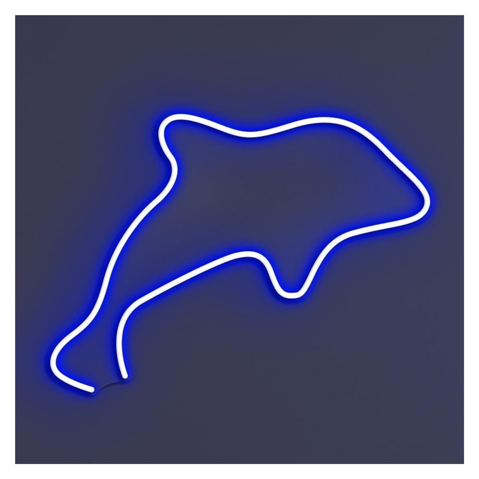 RONGCH Hanging Art Signs Dolphin Neon Sign, Suitable for Ocean Cafe Decor with Brightness Adjustable 30cm(Blue)