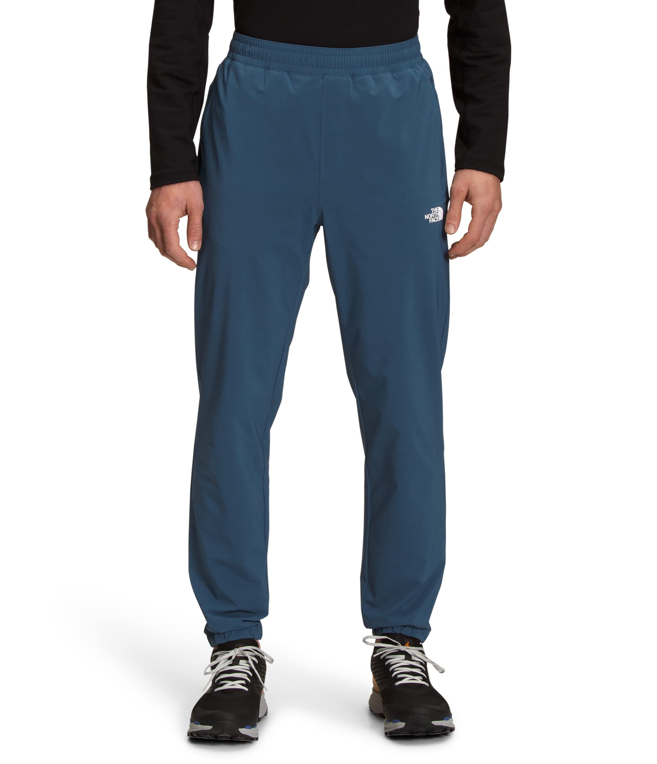 THE NORTH FACE mens Wander Pants