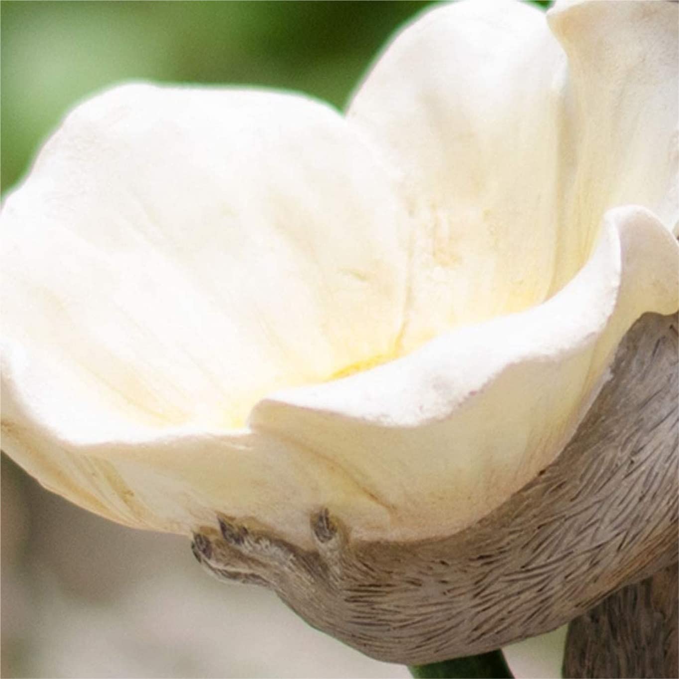 Mangiatoia per Uccellini da Esterno Mangiatoia Per Uccelli Da Esterno Simulazione Mangiatoia Per Uccelli Procione Per Ornamenti Decorativi Da Giardino Mangiatoia per Uccelli Casetta per Uccelli