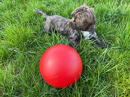 norrun Treibball für Hunde Pferde und Ferkel ungefähr ø 19 cm aus Hartplastik Hundeball Antistreßball (rot)