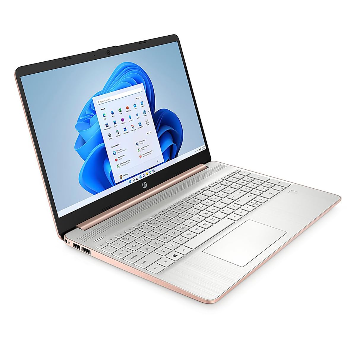 Amazon.com: HP 17.3