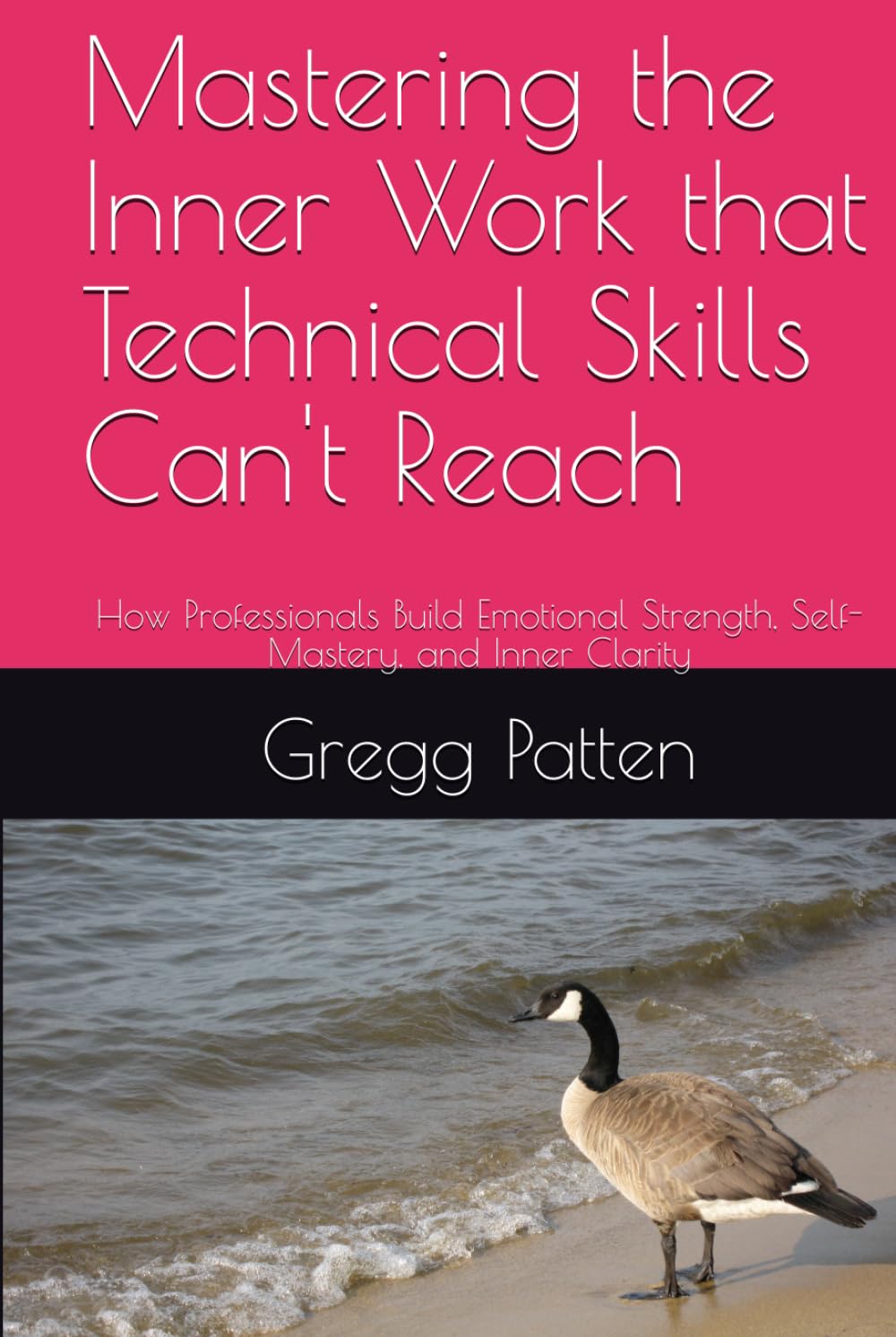 Mastering the Inner Work that Technical Skills Can't Reach: How Professionals Build Emotional Strength, Self-Mastery, and Inner Clarity