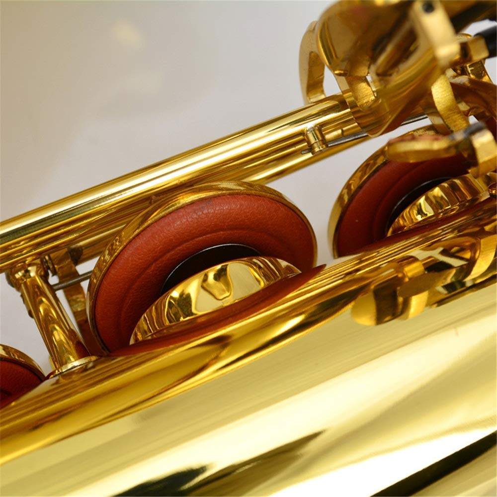 Amazon.co.jp: テナーサックス アルトサックス ケース、マウスピース