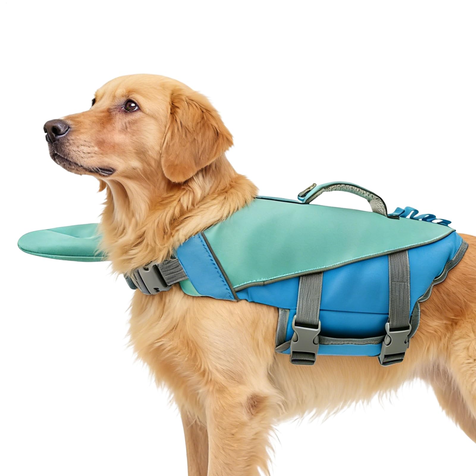 Giubbotto Salvagente per Cani Galleggiante staccabile regolabile | Gilet di salvataggio da Per Cuccioli Taglia Piccola Media Piscina Spiaggia Fiume Barca Rafting