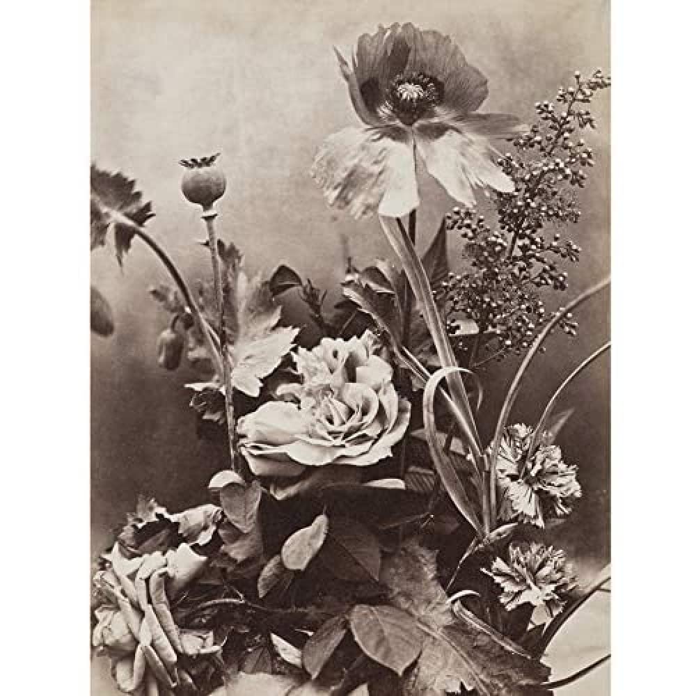 Artery8 Charles Aubry Roses Poppies And Carnations Photo Art Print Canvas Premium Wall Decor Poster Mural