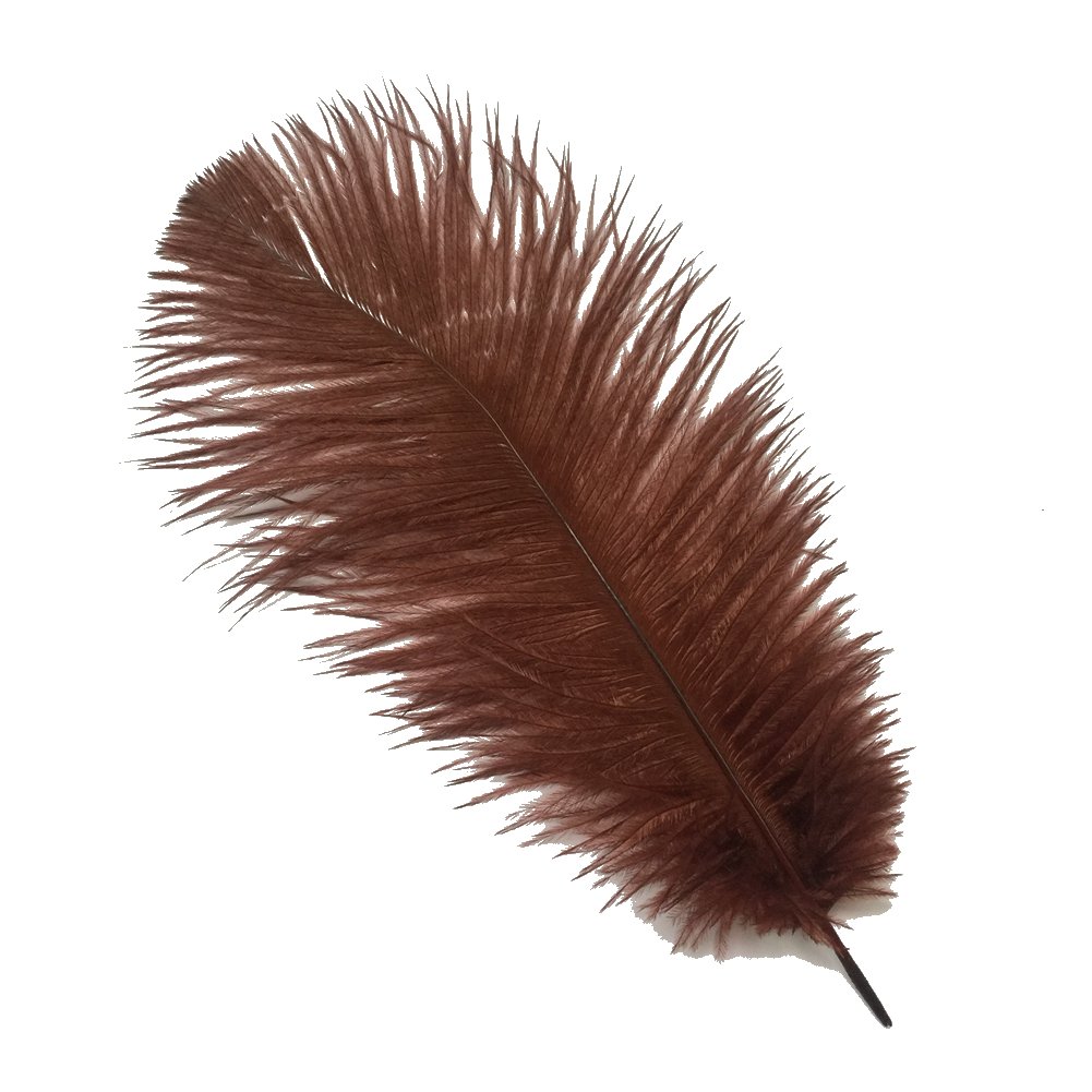 Sowder 20pcs Natural 10-12inch(25-30cm) Ostrich Feathers Plume for Wedding Centerpieces Home Decoration(Brown)