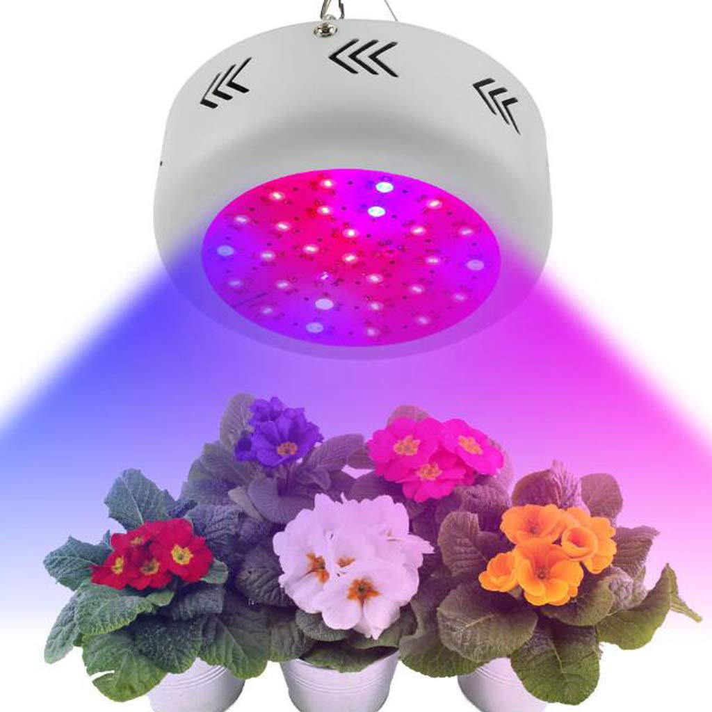 TEmkin Lampe de Croissance de Plantes, Lampe de Croissance de Plantes, Lampe de Croissance LED à Spectre Complet de 70 W pour Plantes d'intérieur hydroponiques légumes et Fleurs