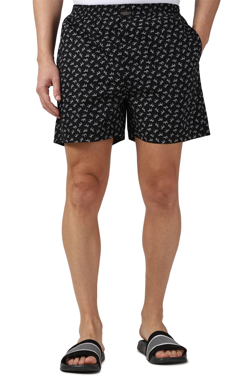 peter england Cotton Men's Boxer Shorts-picture-21