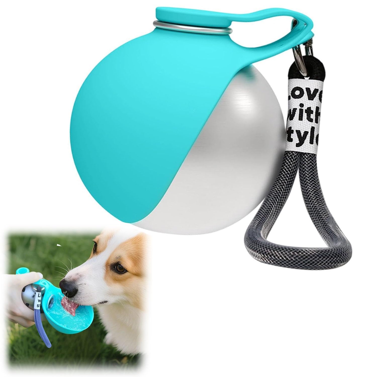 2-in-1 Portable Stainless Steel Dog Water Bottle, Leak-Proof Round Pet Water Dispenser with Foldable Silicone Bowl & Lanyard, Outdoor Travel Drinking Cup for Dogs Cats(Blue)