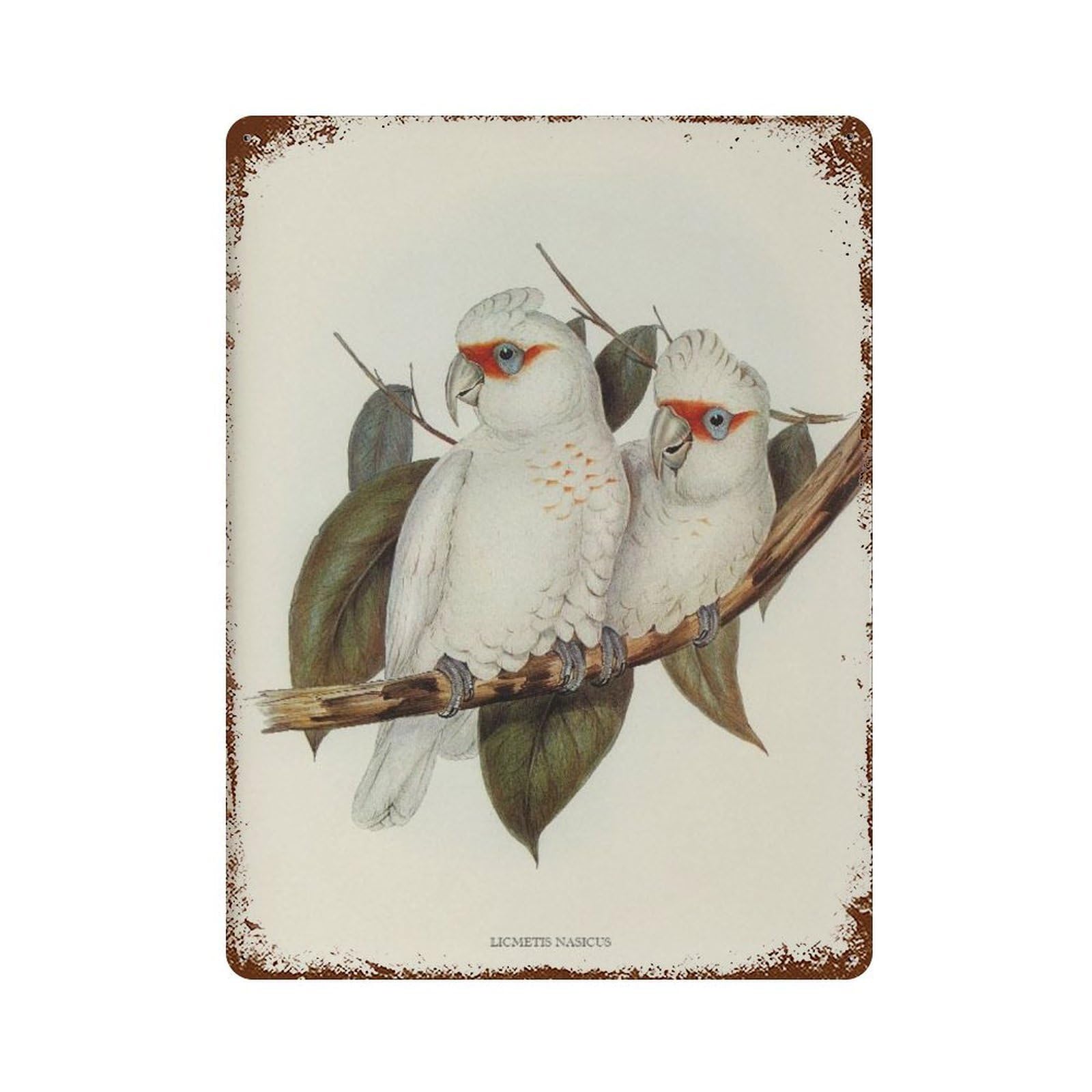 xiaoxiaoshen Cockatoo Bird Vintage Farmhouse Wall Decor Art Metal Tin Poster Modern Home Decor Art Home Bar Shop Decorations Vintage Sign 40x30cm