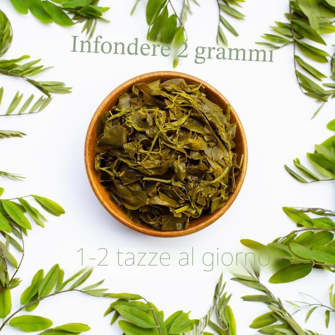 Foglie di Senna Intere 1 kg, Origine India - Potente Purgante, Lassativo Naturale - Favorisce il Transito Intestinale e la Pulizia del Colon - Tisana Detox | Confezionato in Francia, RUE DES PLANTES