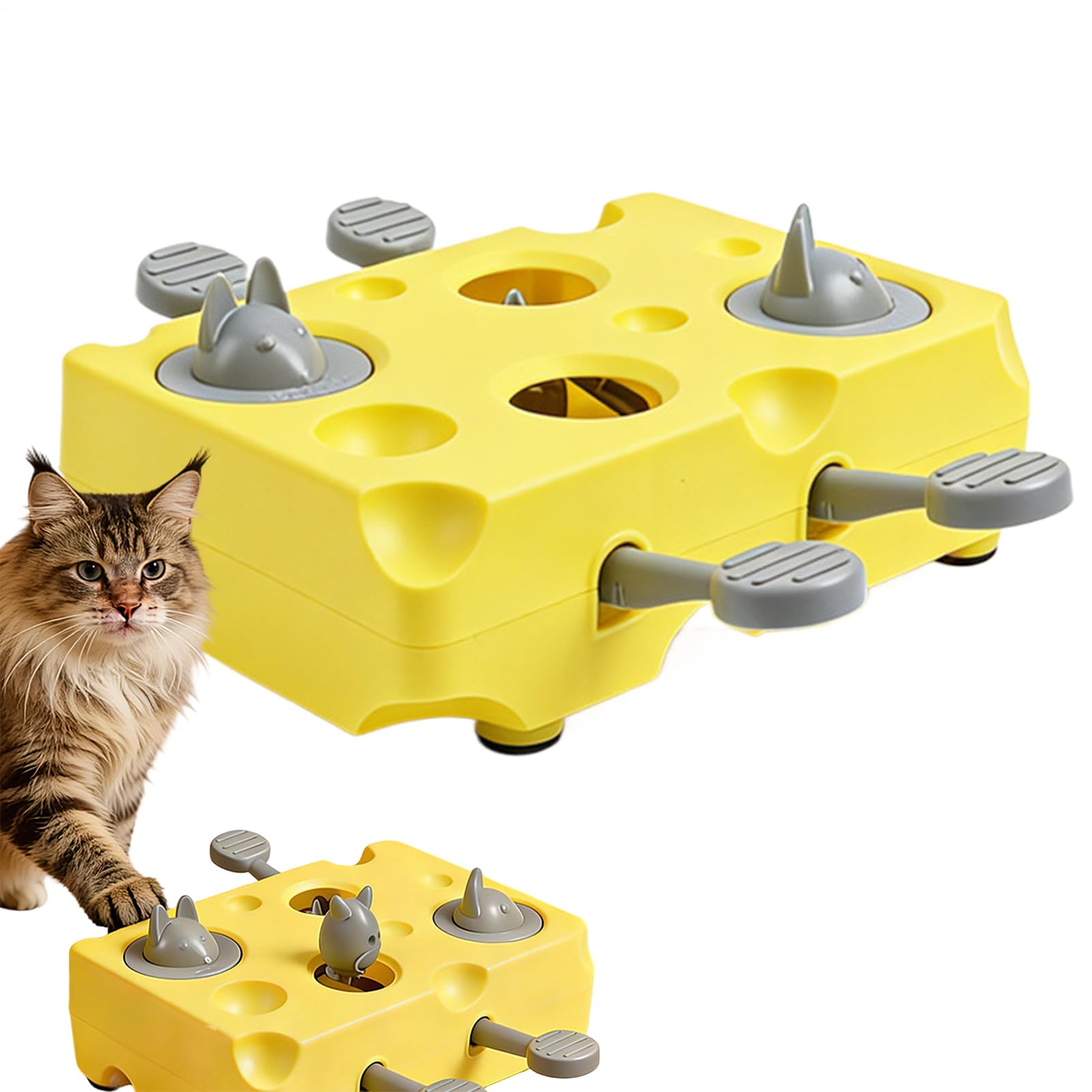 Stimulants pour chat idéal pour l'alimentation active des animaux
