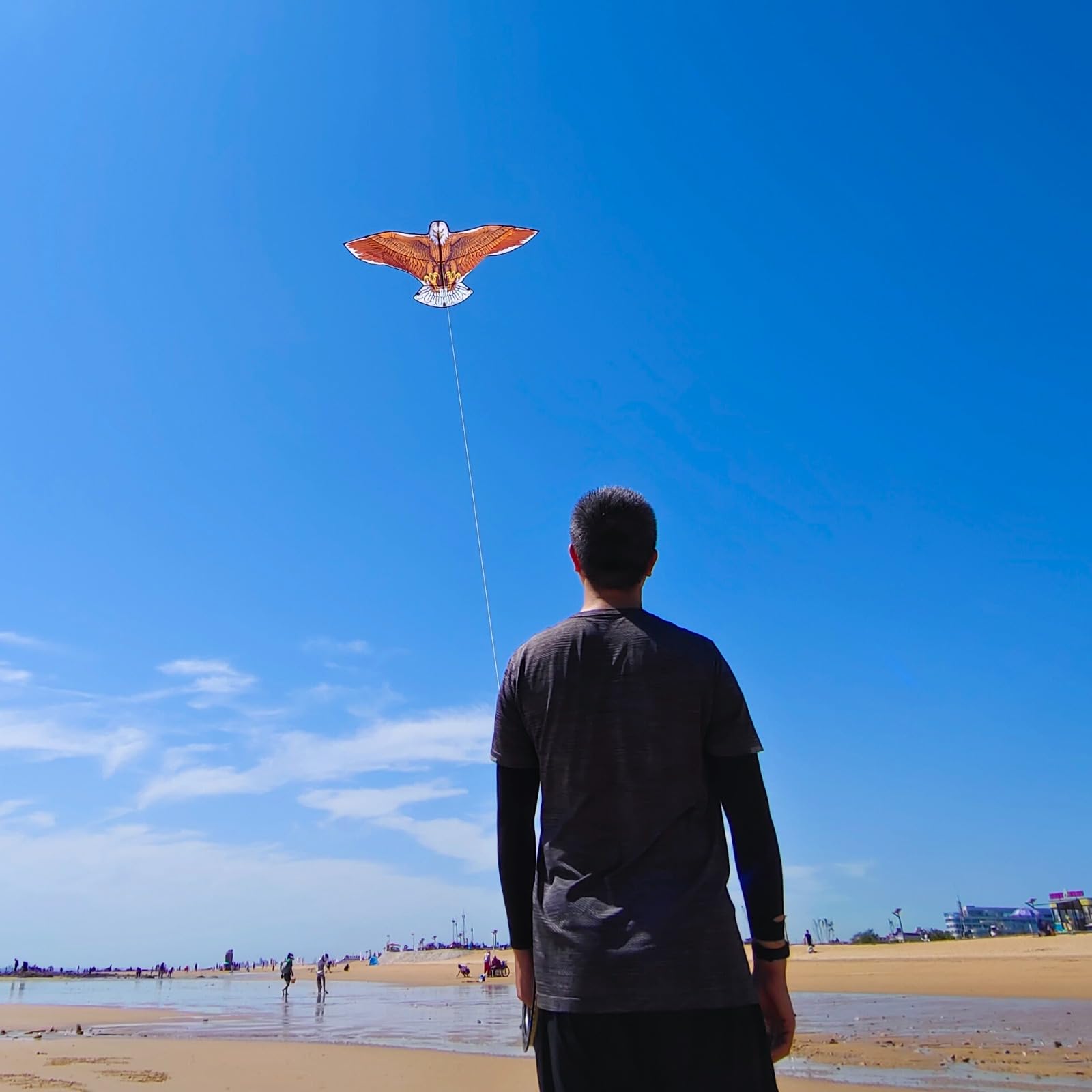 Aquilone Bald Eagle per bambini e adulti, facile da pilotare, migliori aquiloni per principianti | Grande aquilone da falco per spiaggia, 91,4 m, manico a corda, aquila per bambini e adolescenti, 180,3 x 81,3 cm