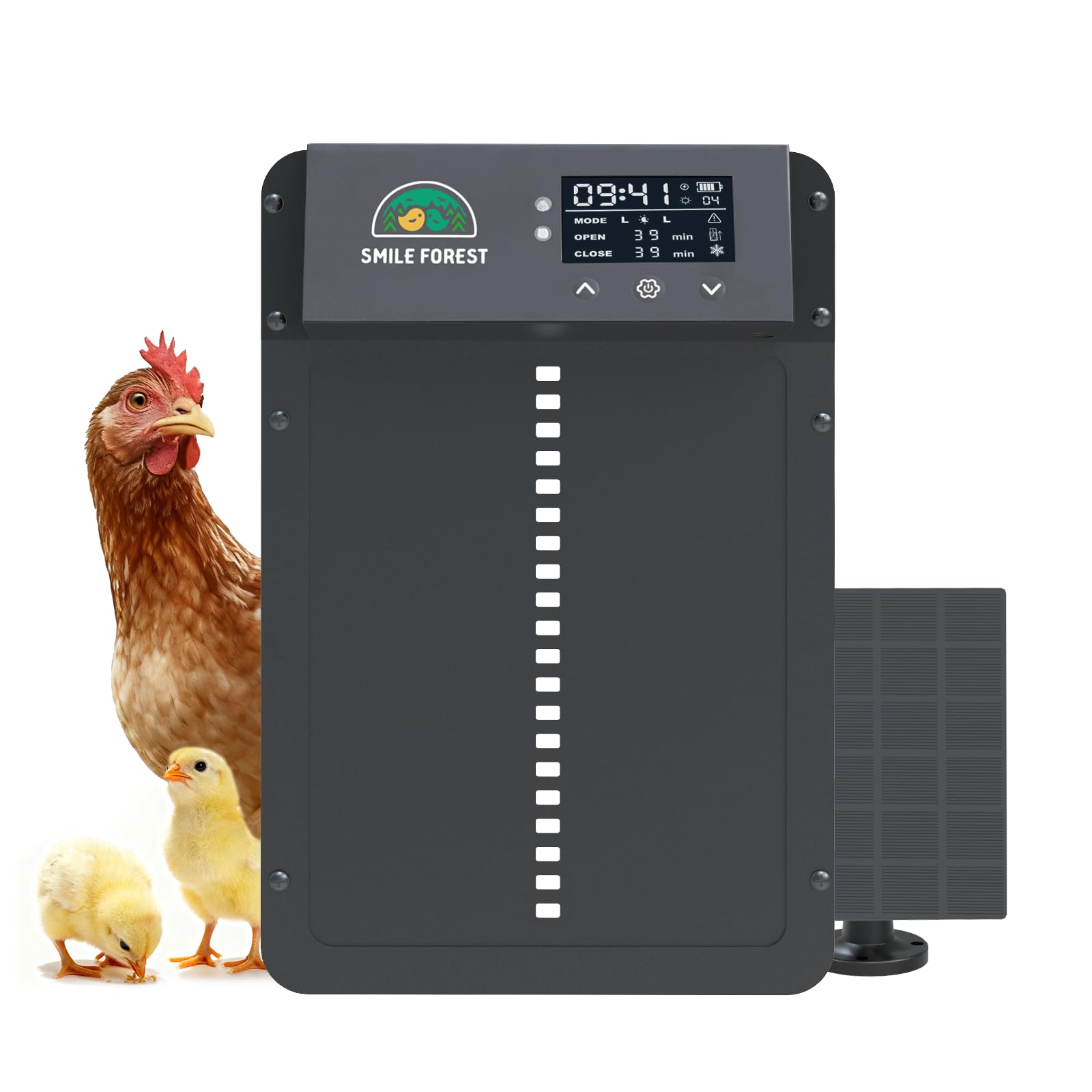Puerta automática de gallinero con pantalla LCD y múltiples modos de apertura