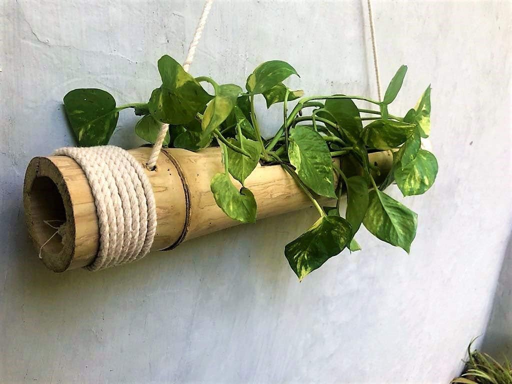 COIR GARDEN - Hanging Bamboo Planters with Adjustable Rope - Bamboo Stand - Bamboo Pot- Pack of 1