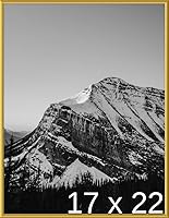 Vista 348 de Frame It Easy Marco de metal rojo de 24 x 36 pulgadas (Hanover)