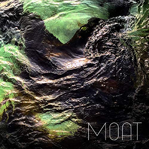 Album Art for Poison Stream by Moat