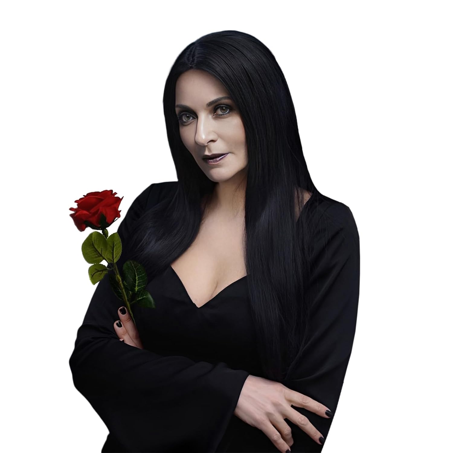 Long Black Wig Straight,Long Black Wigs For Women,Halloween Costume Wigs For Women Black / Straight