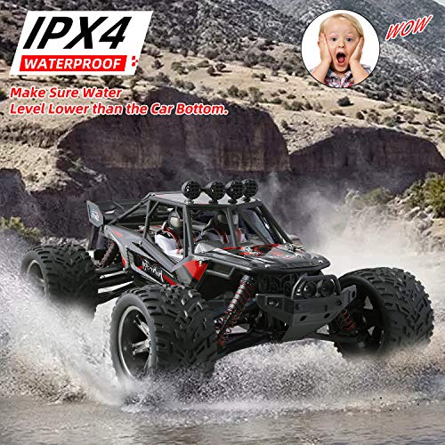 big and fast rc cars