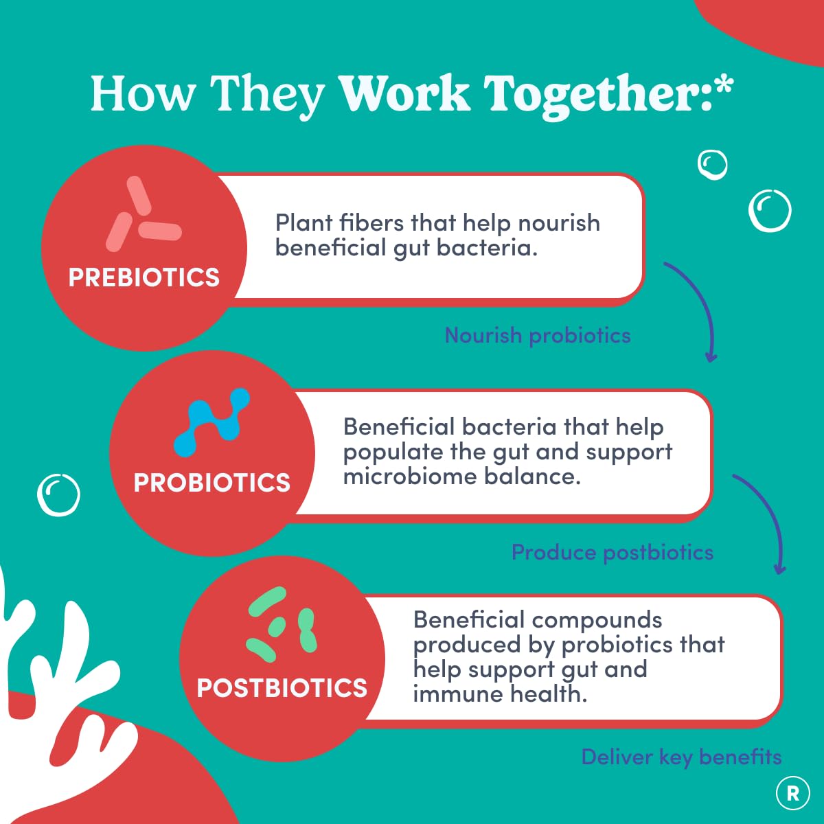 FIRST DAY Toddler Probiotic Gummies Ages 2-3, 3-in-1, Kiwi Flavor, 60ct — Amazon image 4