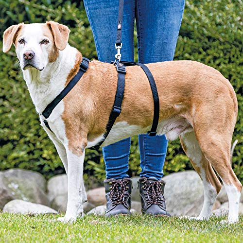 Trixie Geschirr Stay L-XL: 75-100 cm/25 mm, Schwarz