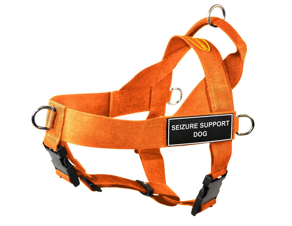 Harnais pour chien pour stopper les tractions brutales et sécuriser les sorties en ville