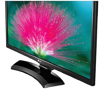 LG 70 cm (28 inches) HD Ready IPS LED TV 28LH454A (Black