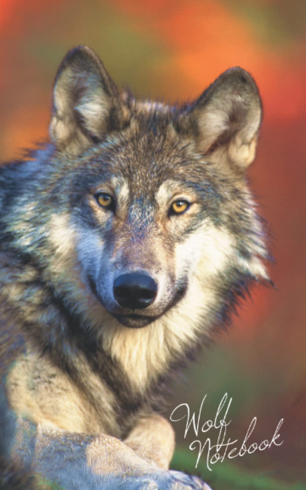 Wolf Notebook: Gifts & Presents - Gray / Grey Wolves Ruled Notebook for Wolf lovers (Animal Series)