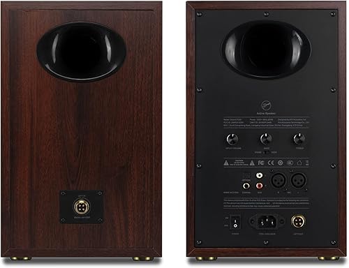 Miniatura 7 de HiVi-Swans D300 Bluetooth Powered Bookshelf Speakers - Studio Monitor Speakers - Bluetooth Desk Speakers for TVTurntablePC - 6.5 Inch Near Field