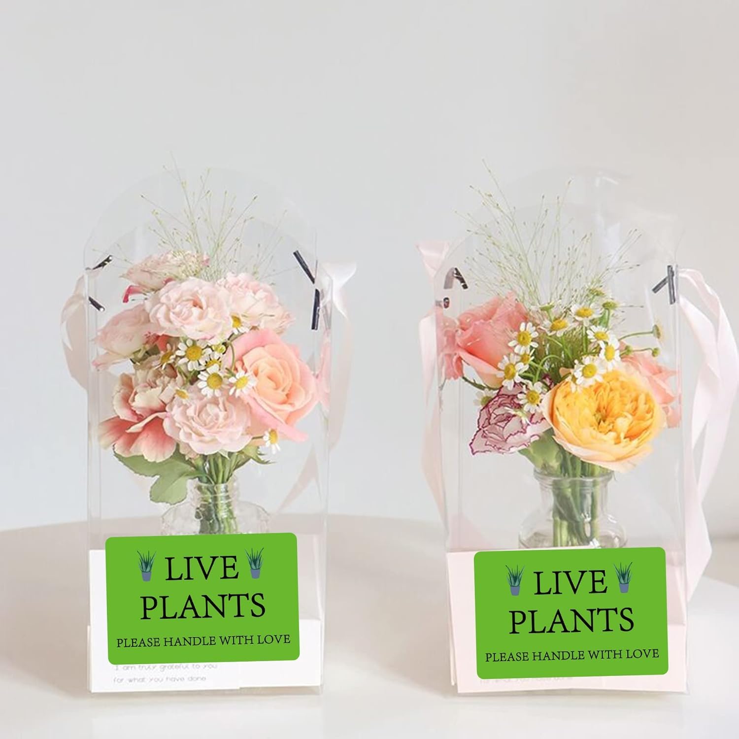 View 3