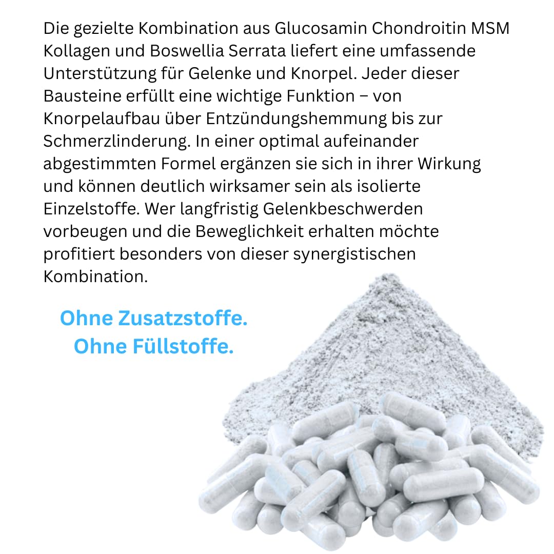 Knorpelaufbau KNORPEL & GELENKE Komplex 360 (3x120) Kapseln - ArthroWell TOP-5 Gelenkbausteine Gelenkkapseln mit Glucosamin, Chondroitin, MSM, Kollagen, Weihrauch. OHNE ZUSATZSTOFFE 26444-3