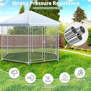 93×93×82 Ft Large Dog Kennel Outside with Roofoutdoor Dog Kennel with Metal Gateheavy Duty Dog Kennel with Lock for Outdoor Backyard Cucciolini Doodles 9 3×9 3×8 2 ft large dog kennel outside with roofoutdoor dog kennel with metal gateheavy duty dog kennel with lock for outdoor backyard cucciolini doodles