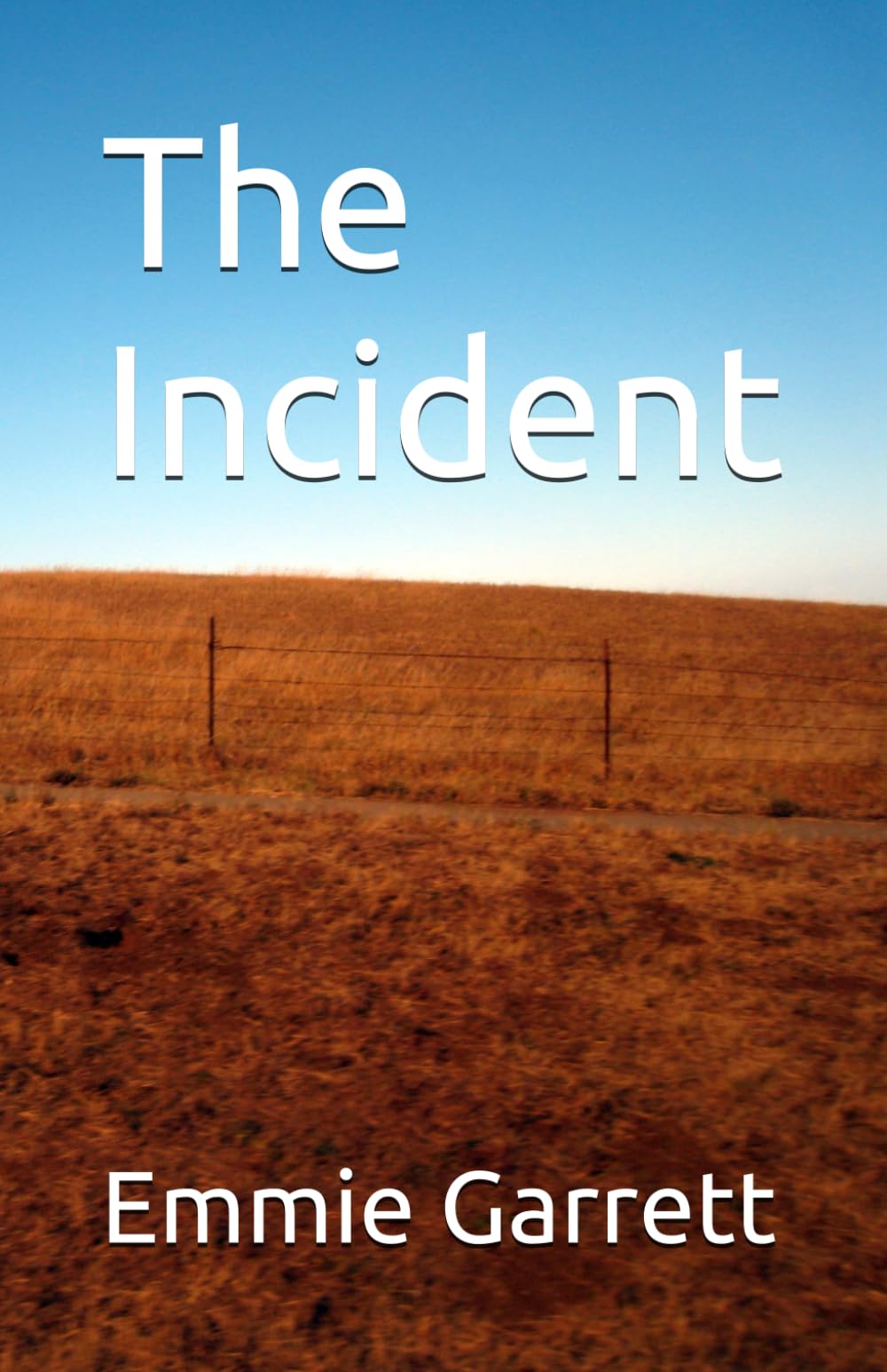 The Incident