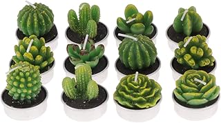 Christmas Home Decoration- 12pcs Simulation Plant Tealight Succulents Candles Decorative Candle for Bedroom Party Wedding (NO. 2)