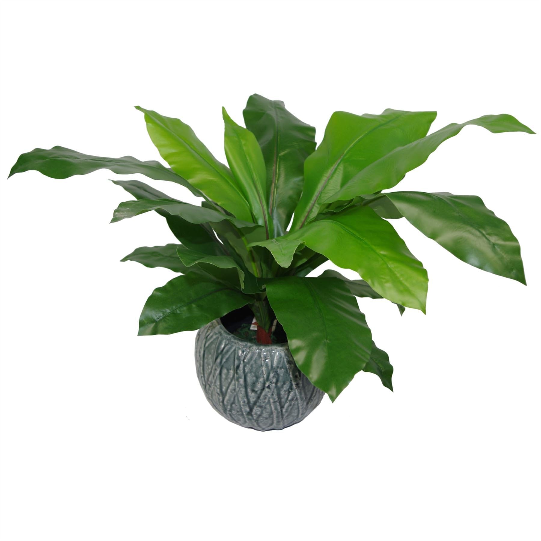 B&Q -  60Cm Bushy Large Artificial Bird's Nest Fern Plant
