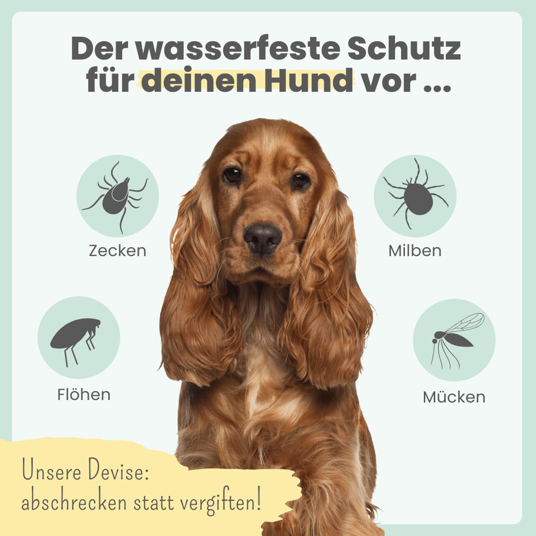 Noms+ Zpot-on wasserfestes Zeckenmittel für Hunde Jahresvorrat | Spot On mit pflanzenbasierten Wirkstoffen & DMSO | gegen Zecken, Milben, Flöhe, Sandmücken