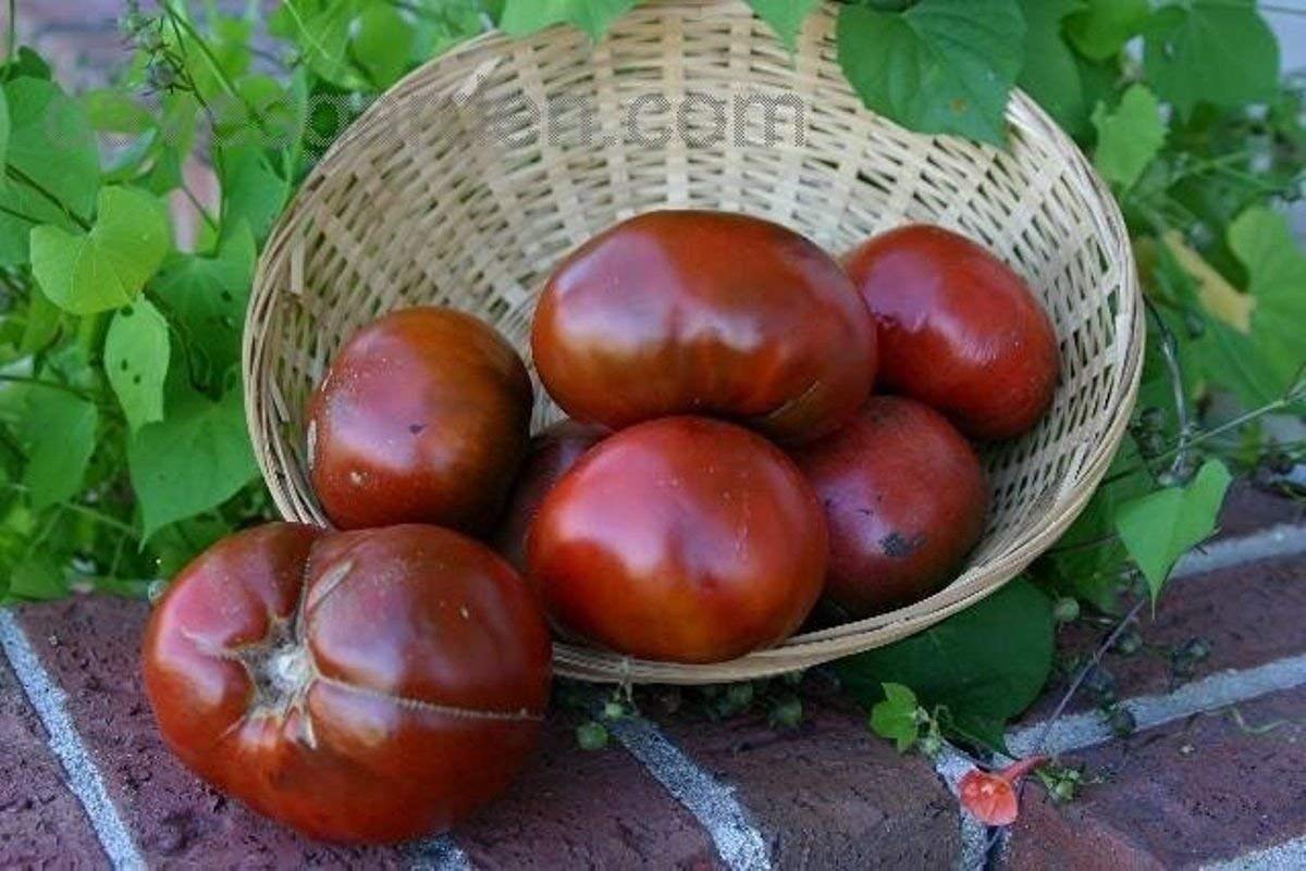 Pomodoro Tondo 'Tigerella Bicolore' Biologico - 30 Semi - Il Mondo Dei Semi - Foto 9