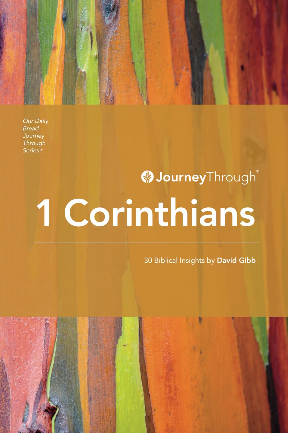 Journey Through 1 Corinthians: 30 Biblical Insights by David Gibb (Journey Through Series: Pauline Epistles)