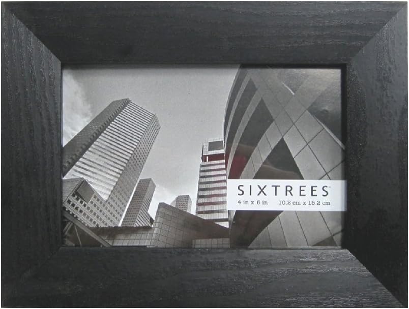 SIXTREESUSA Parker Frame, 8 by 10-Inch, Black