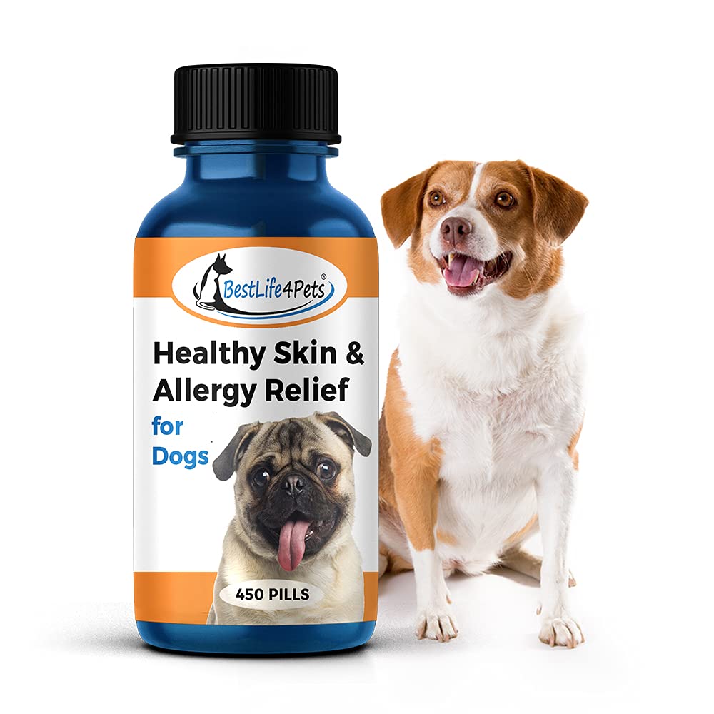 Do Dogs Scratch When They Are Shedding