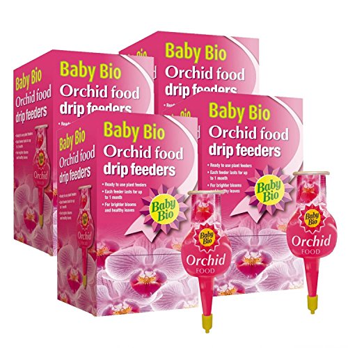 Baby Bio® - Comedero para orquídeas...