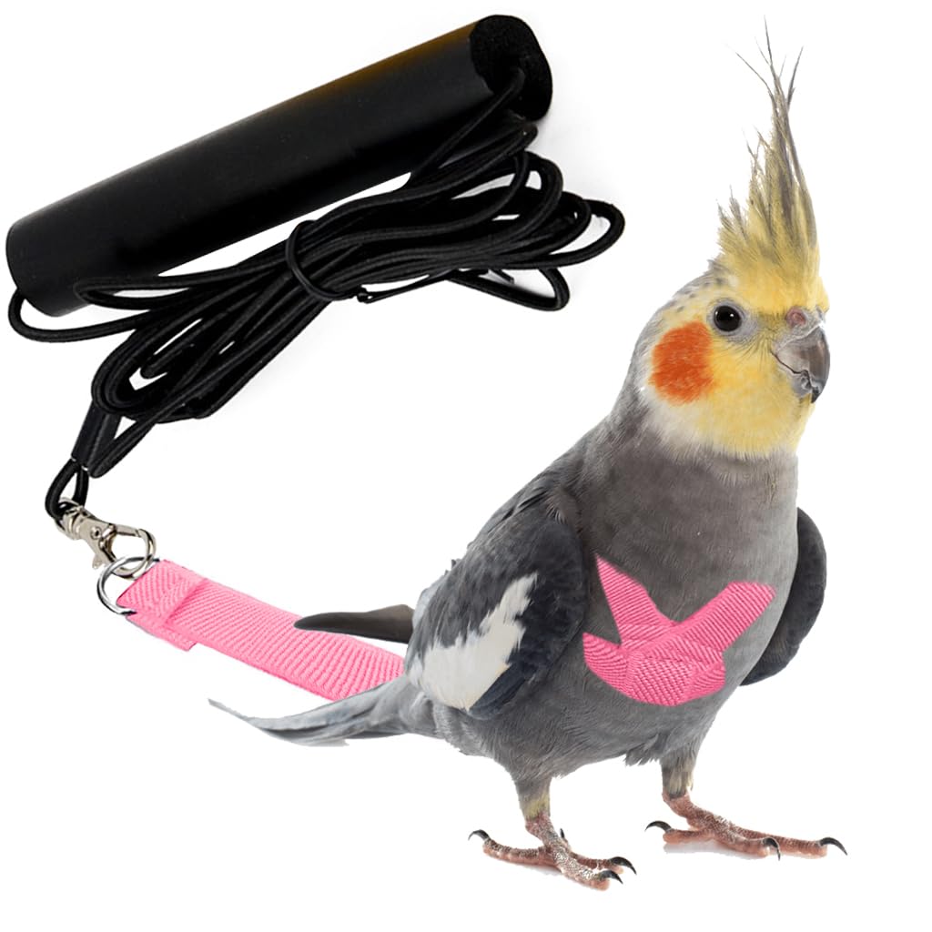 Parrot Harness, Bird Harness Parrot Quick Release Strap Design, M