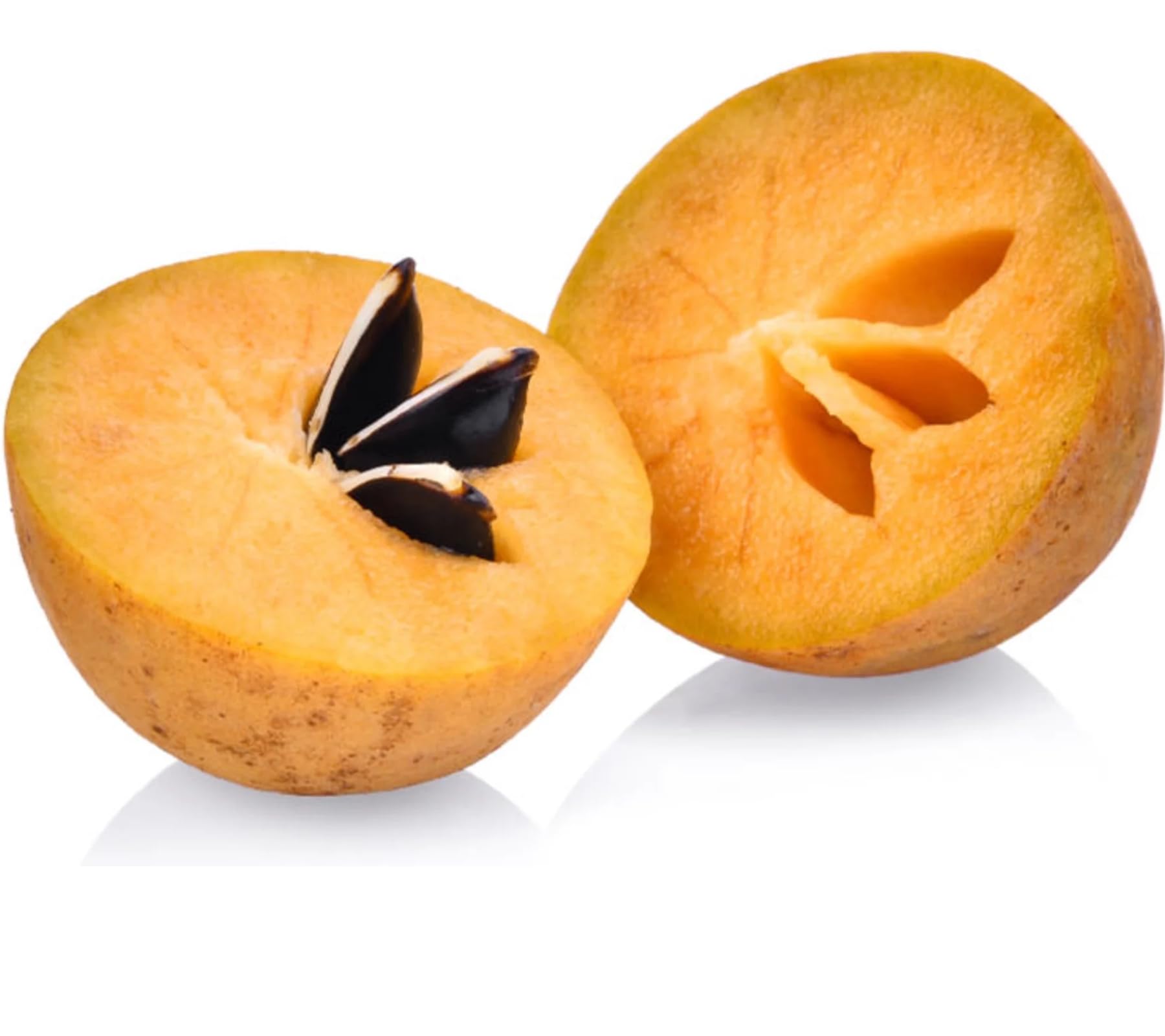 SRI SAI FORESTRY Sapota Seeds (Cricket Ball Size Fruit) - Pack of 10 Seed | Chikoo,Chiku Fruit,Manilkara zapota, Sapodilla for Planting (B0CFRN4ZZ6) Amazon Price History, Amazon Price Tracker