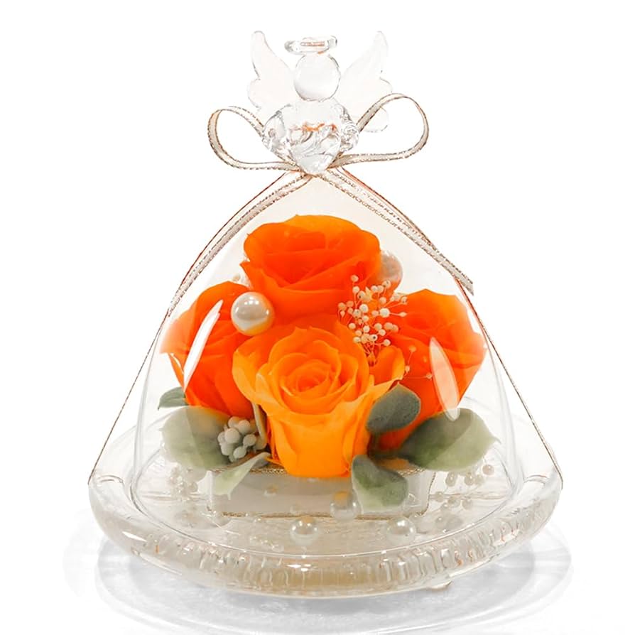 Amazon｜IPFA プリザーブドフラワー ガラスドーム エンジェル