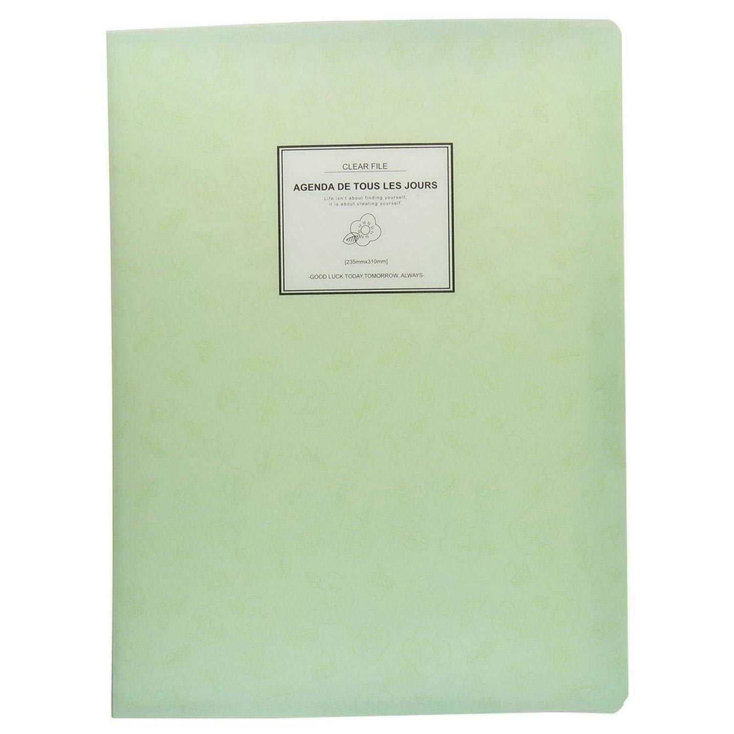 WANDS 会報VOL.1～4 Topological Polar Networks in Twisted Rhombohedral-Stacked